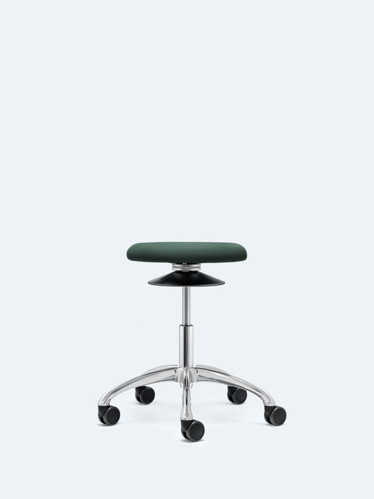 Ergo with five-star aluminum base