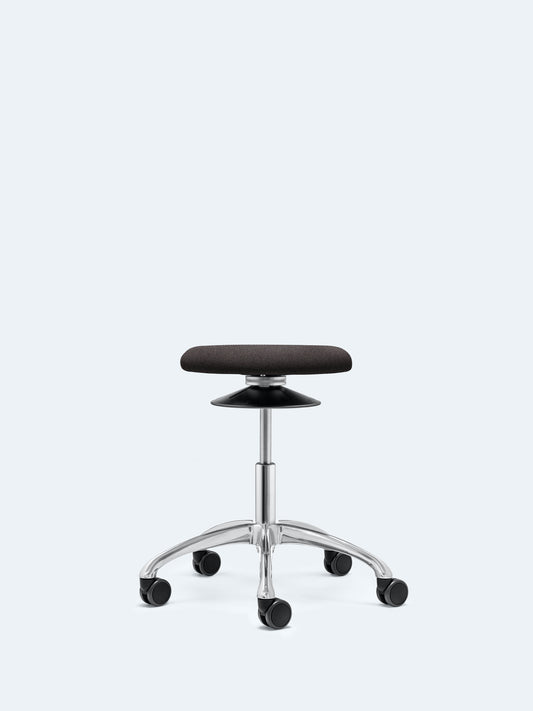 Ergo with five-star aluminum base